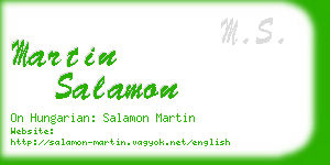 martin salamon business card